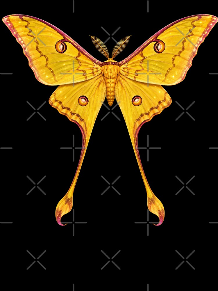 Comet Moth Argema mittrei Cartoon Style by Harpagann