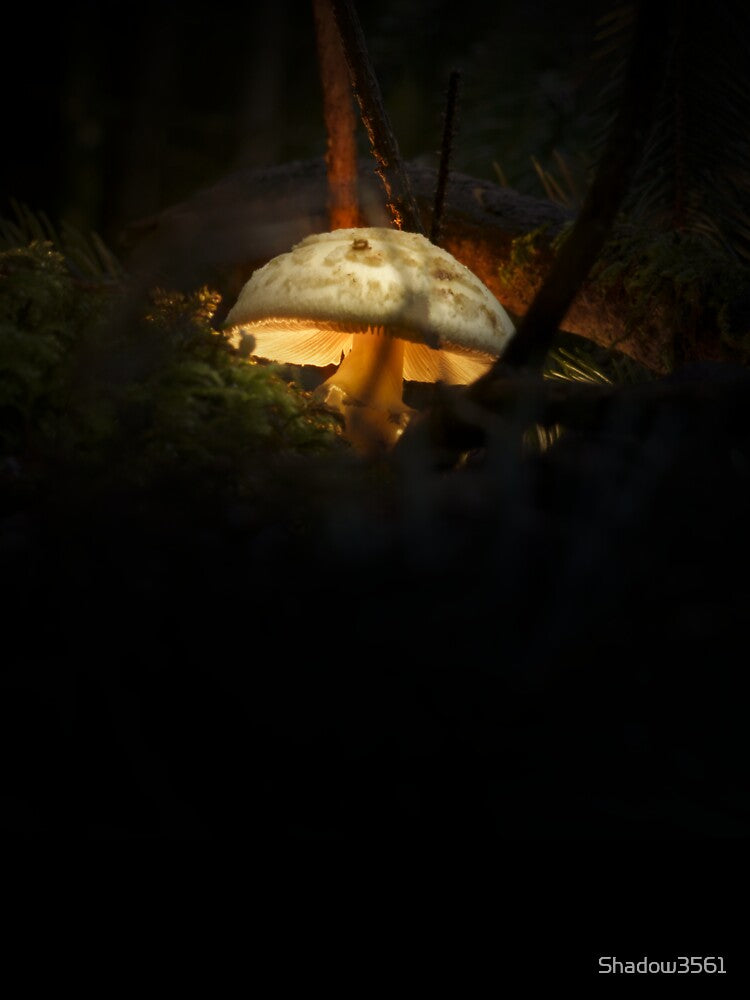 Magic Mushroom by Shadow3561