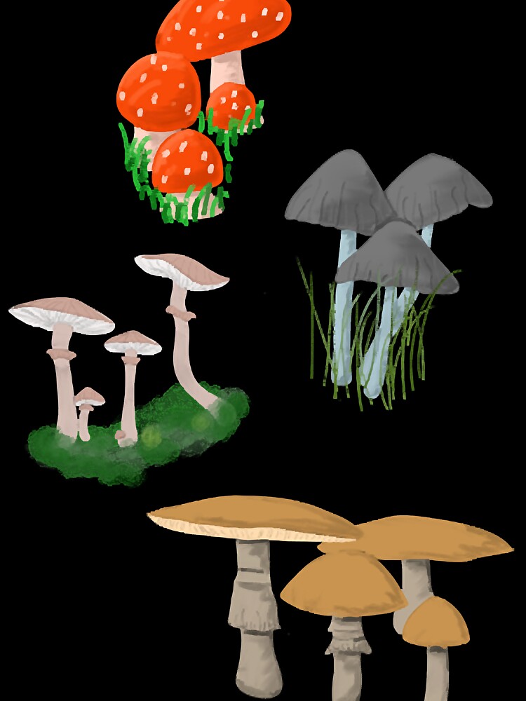 Mushroom by phamquynh