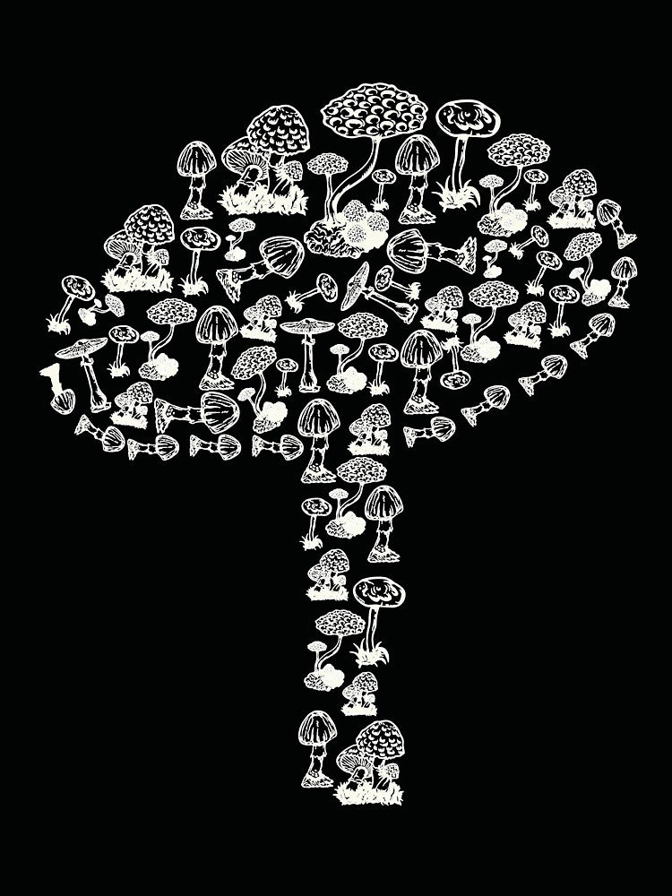 mushroom collection by theglaze