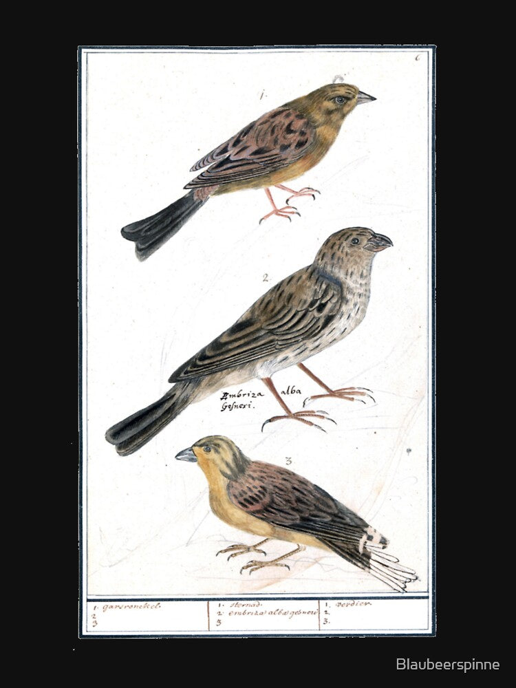 Vintage bird illustration, vintage by Blaubeerspinne