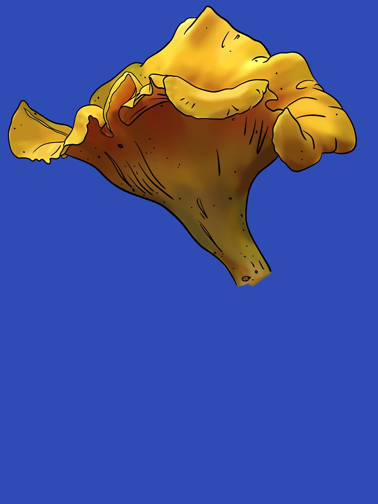 Smooth Chanterelle (Cantharellus lateritius) by Cherie Brunetti