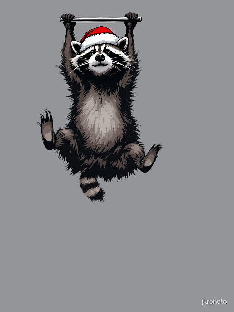 christmas raccoon by jkrphoto
