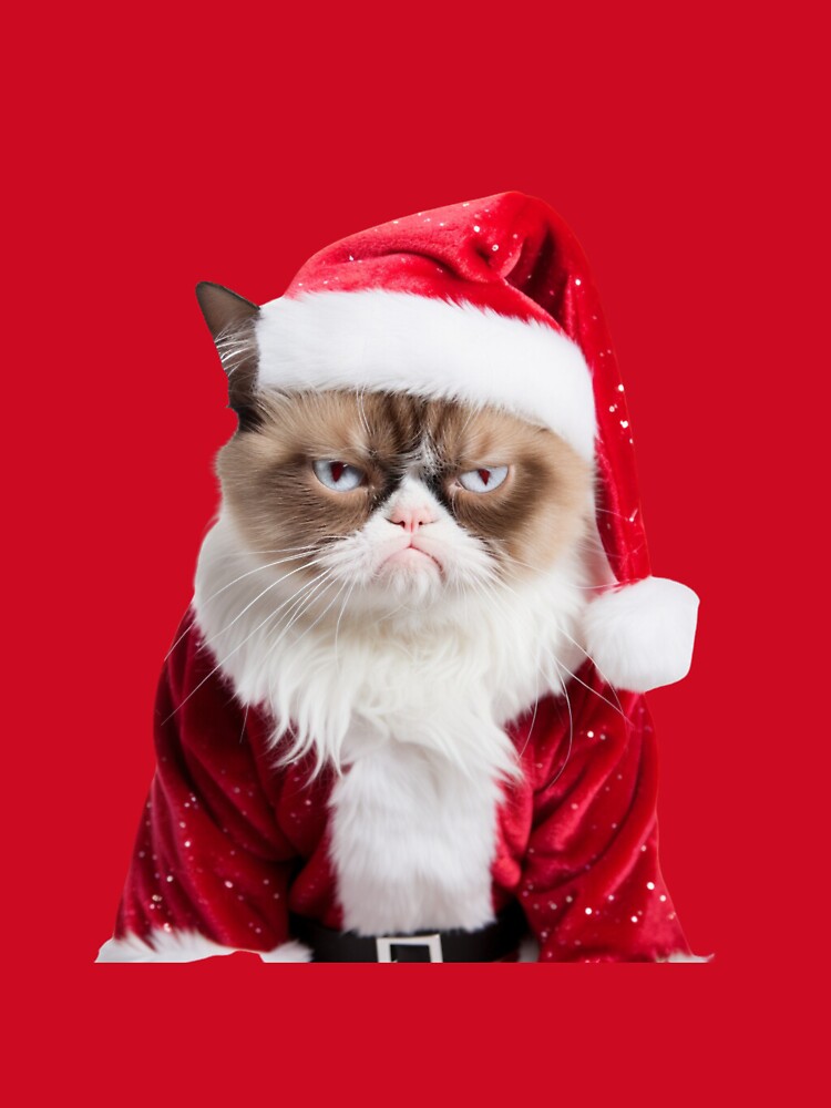 Christmas Cat is Grumpy by Nicholas Panek