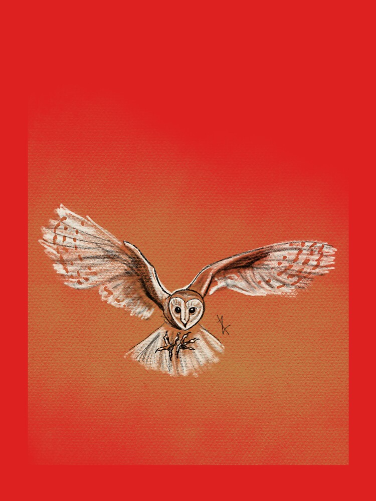 Sunset Owl by audreyoddity