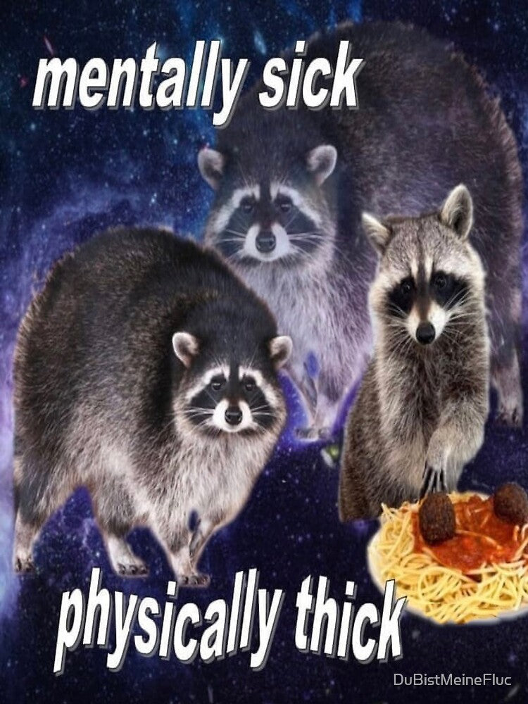 MENTALLY SICK, PHYSICALLY THICK - funny raccoon quote by DuBistMeineFluc