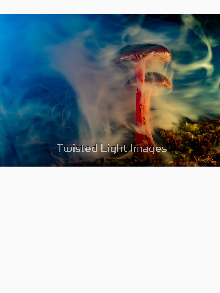 Enchanted Mushroom in Mist by Twisted Light Images