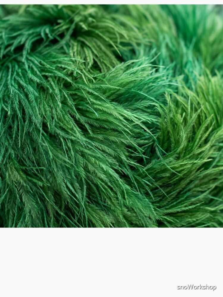 Grass by snoWorkshop