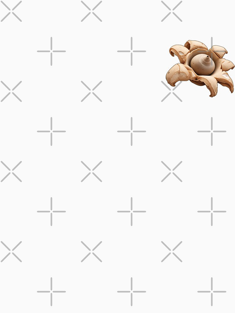 Collared Earthstar Mushroom | Geastrum Triplex Pocket Print by wildlifethings