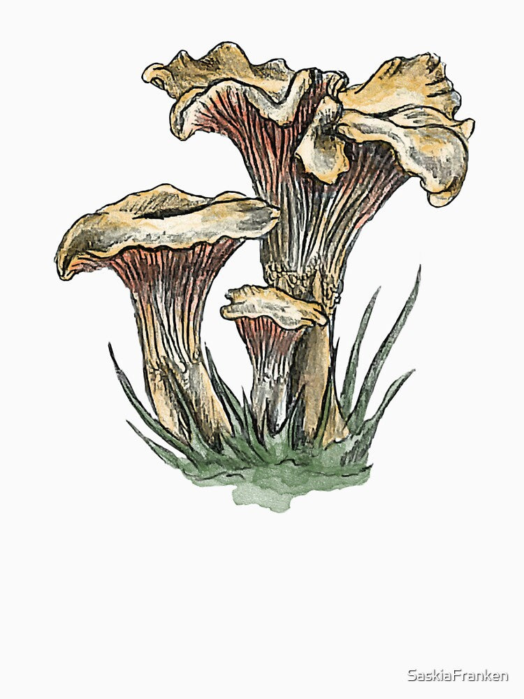 Realistic Chanterelle Mushroom – Pencil and Watercolor Botanical Nature Art by SaskiaFranken