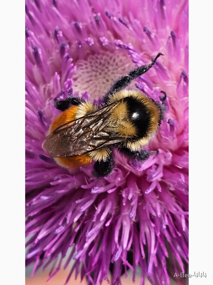 A bee enjoying breakfast by A-Bee-444