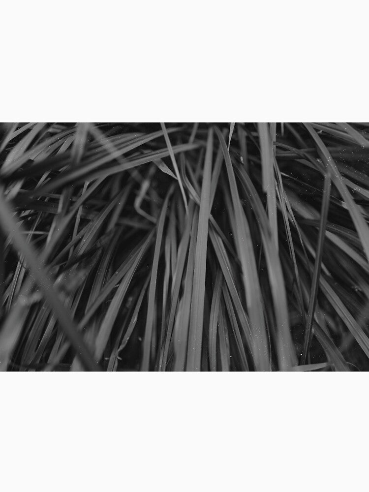 Touch of nature by Karf  .