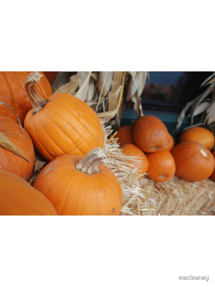 Pumpkins by macleaney