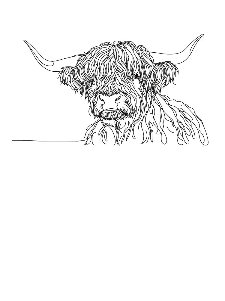 Highland Cow Close-up Line Drawing by AlanHillArt