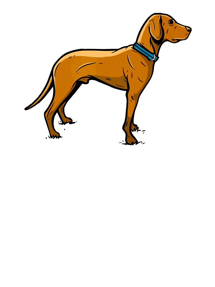 Hunting dog by zaher97