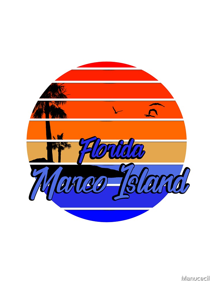Florida Marco Island palmtree sunset by Manucecil