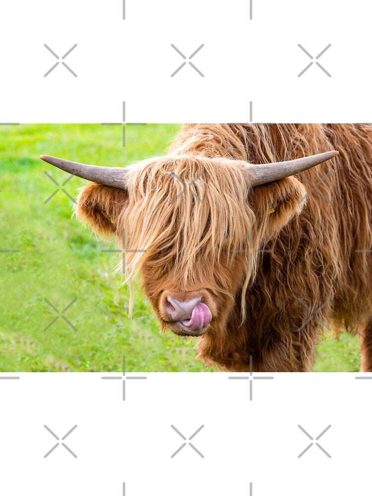 Highland Cow by angieblue-25