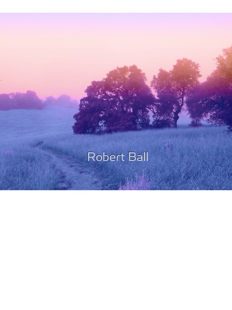 Touch the Light by Robert Ball