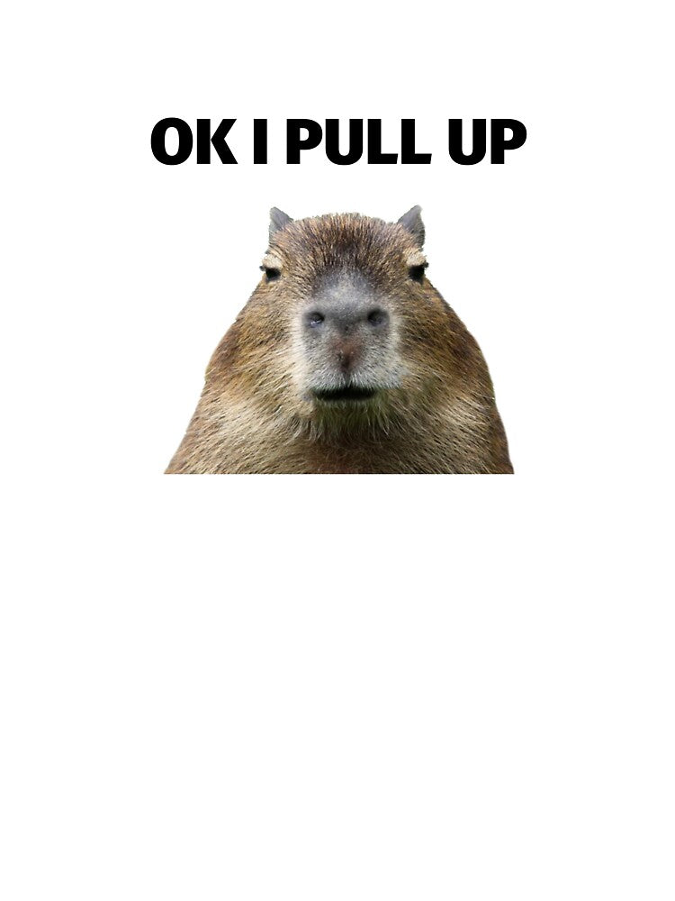 Capybara Meme - Ok I Pull Up by SimpleUniverse