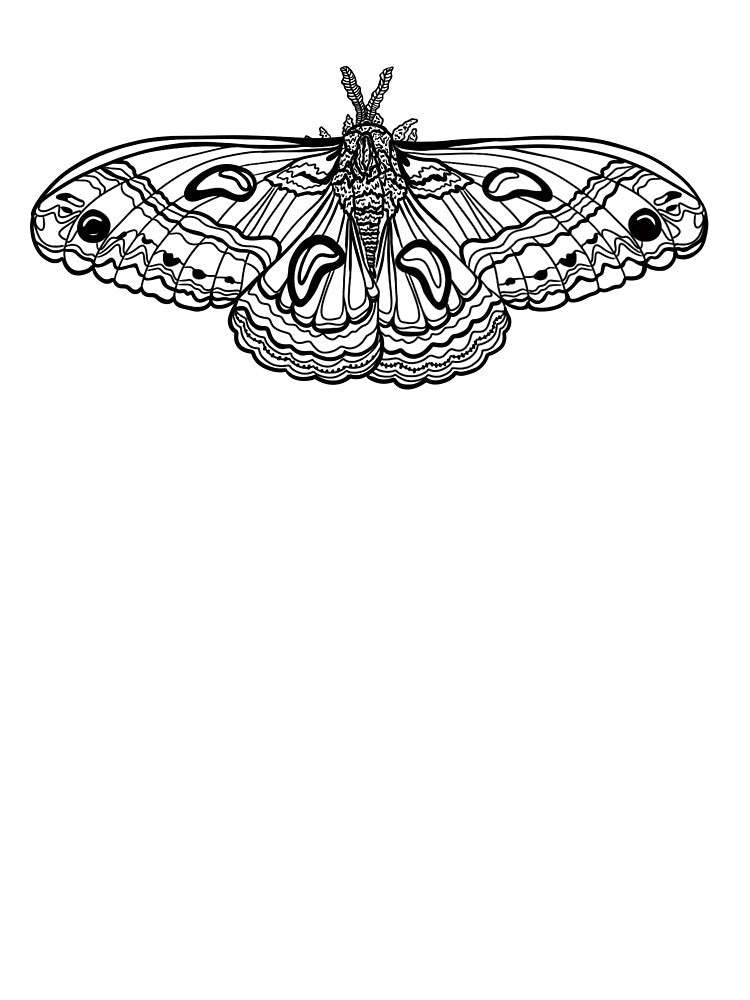 Moth outline black by lexilea