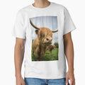 Highland Cow standing in field by Alex Sharp