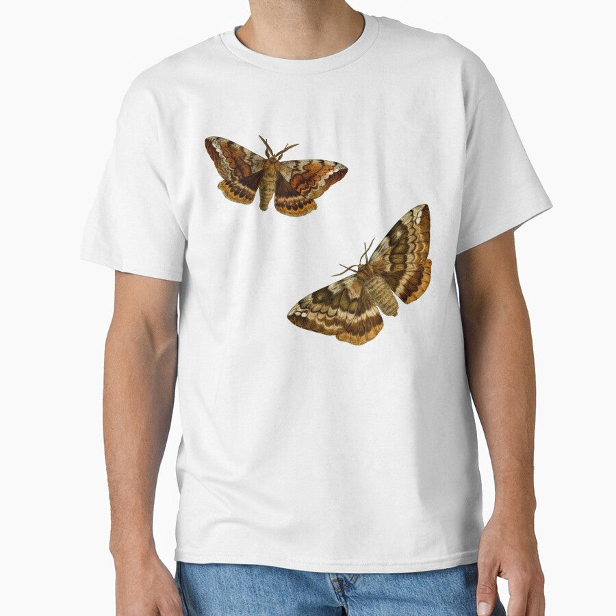 Lepidopterological Print: Moths by Tridentulus