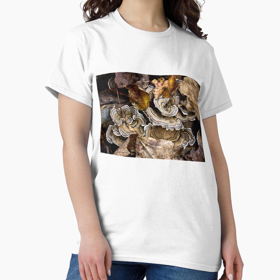 Turkey Tail by lanettesart