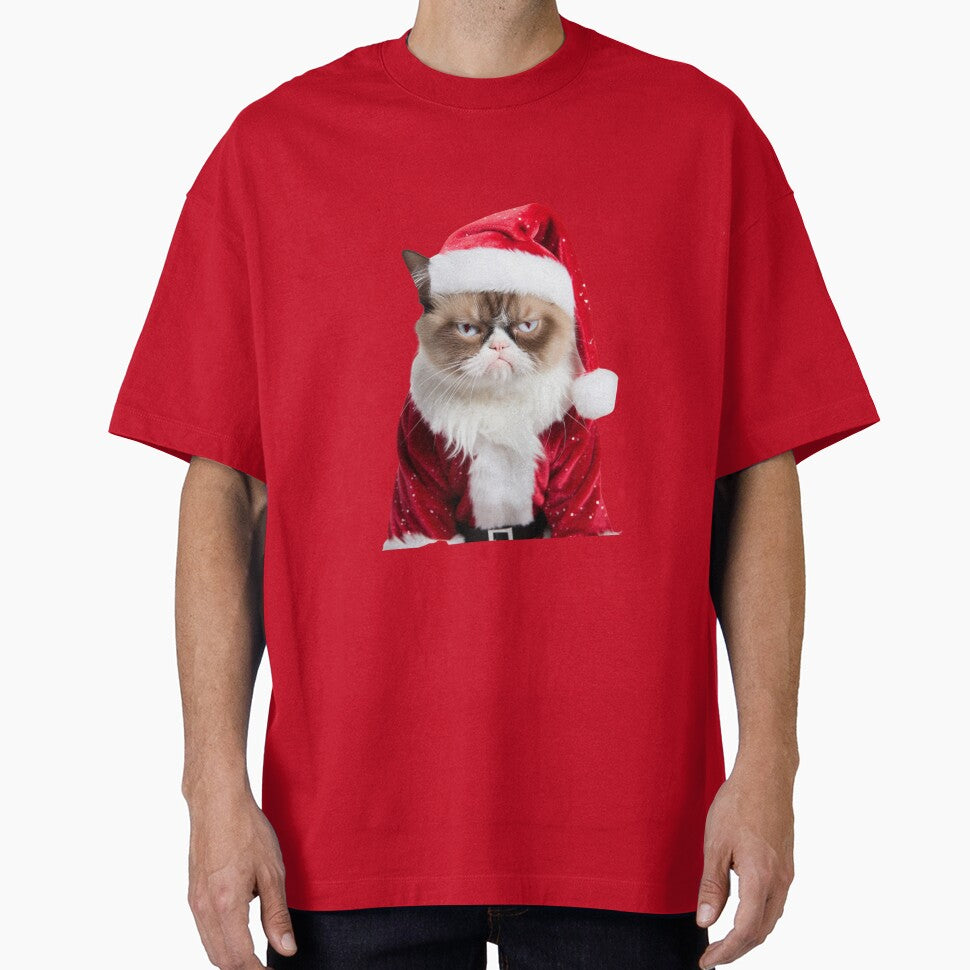 Christmas Cat is Grumpy by Nicholas Panek