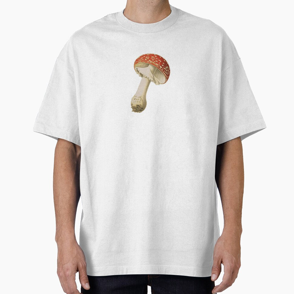 Vintage Mushroom Illustration, Fly Agaric by HawthorneFlame