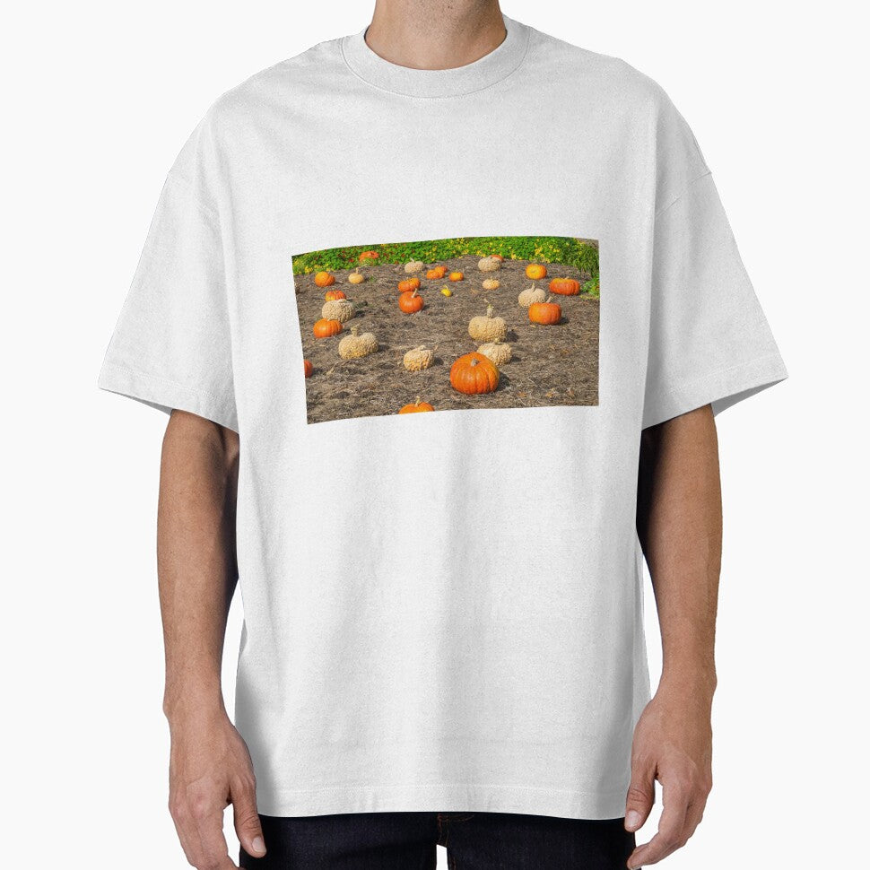 Pumpkin patch view by TDArtShop
